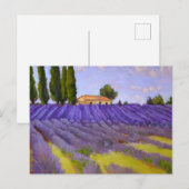 Flowers Lavender-velden Briefkaart (Voorkant / Achterkant)