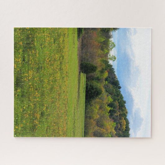 Flowers Legpuzzel (Horizontaal)