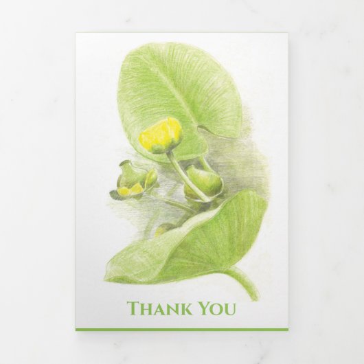 Flowers lilies Potlood tekening Drieluik Wenskaart (Cover)