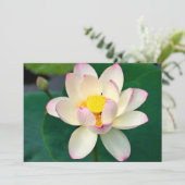 Flowers | Lotus Water Flower Bedankkaart (Staand voorkant)