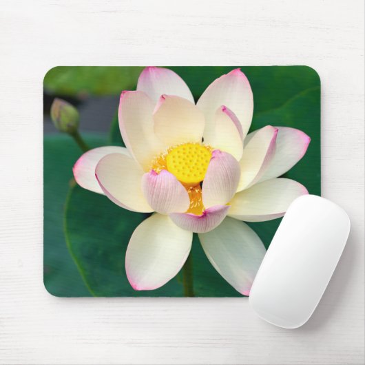 Flowers | Lotus Water Flower Muismat (Met muis)