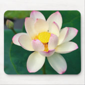 Flowers | Lotus Water Flower Muismat (Voorkant)