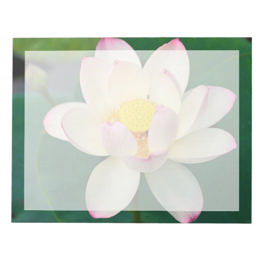 Flowers | Lotus Water Flower Notitieblok (Voorkant)