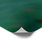 Flowers | Lotus Water Flower Poster (Hoek)