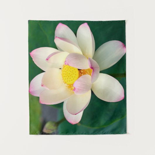 Flowers | Lotus Water Flower Wandkleed (Voorkant)