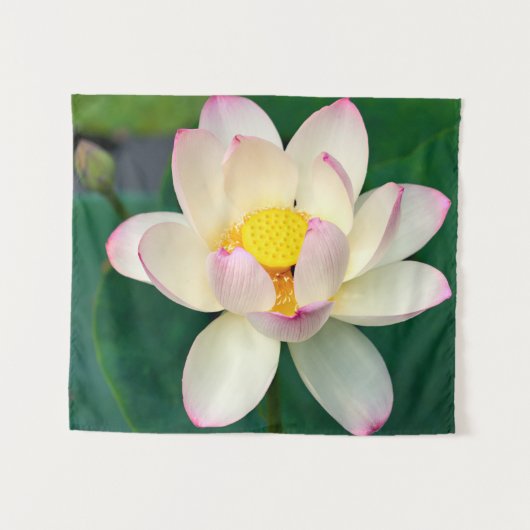 Flowers | Lotus Water Flower Wandkleed (Voorkant (horizontaal))