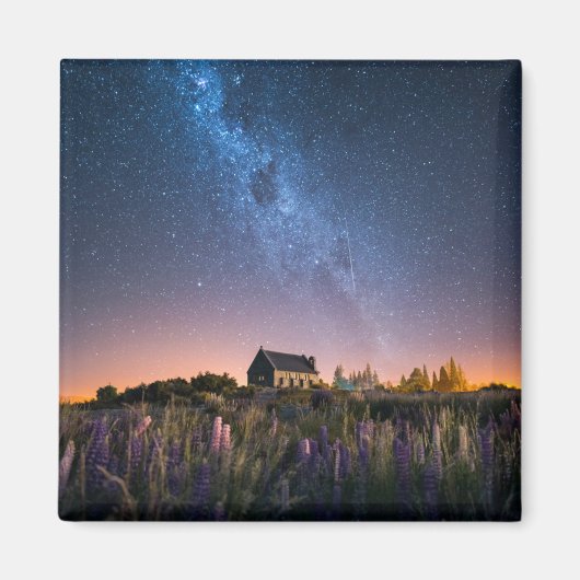 Flowers Lupines Blooming Lake Tekapo New Zealand Magneet (Voorkant)