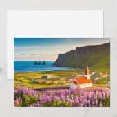 Flowers | Lupines in Bloom Southern Iceland Bedankkaart (Voorkant / Achterkant)