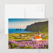 Flowers | Lupines in Bloom Southern Iceland Briefkaart (Voorkant / Achterkant)