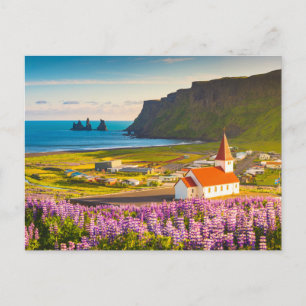 Flowers   Lupines in Bloom Southern Iceland Briefkaart