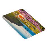 Flowers | Lupines in Bloom Southern Iceland Magneet (Rechterzijde)