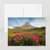 Flowers Montana's Glacier National Park Briefkaart (Voorkant / Achterkant)