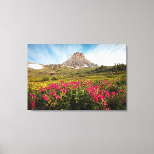Flowers Montana's Glacier National Park Canvas Afdruk (Voorkant)