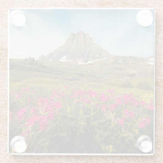 Flowers Montana's Glacier National Park Glazen Onderzetter (Achterkant)