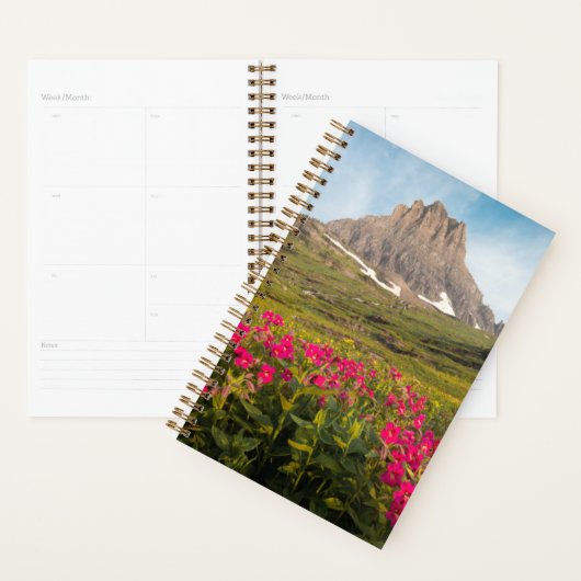 Flowers Montana's Glacier National Park Planner (Display)