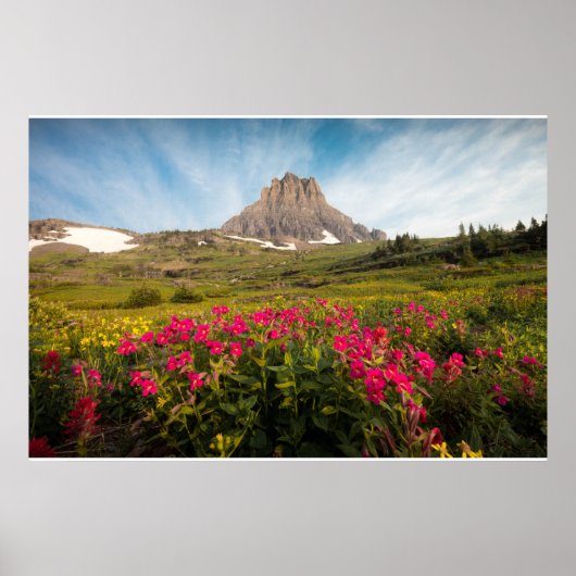 Flowers Montana's Glacier National Park Poster (Voorkant)