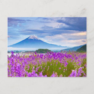 Flowers Mount Fugi Japan Briefkaart