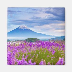 Flowers Mount Fugi Japan Magneet