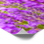 Flowers Mount Fugi Japan Poster (Hoek)