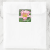Flowers of Faith Philippians Lily Sticker (Tas)