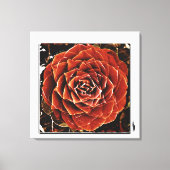 Flowers of Life Canvas Afdruk (Voorkant)