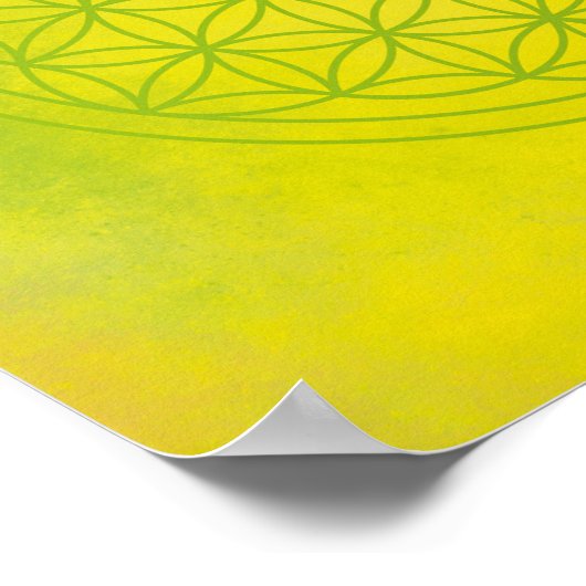 Flowers of life poster (Hoek)