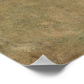 Flowers On A Window Ledge beroemd gemaakt door Joh Poster (Hoek)