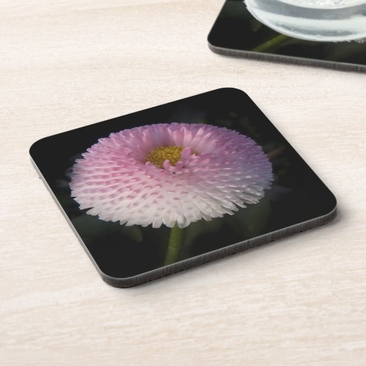 flowers on black - rosa Bellis Bier Onderzetter (Linkerzijde)