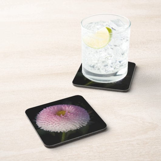 flowers on black - rosa Bellis Bier Onderzetter (Rechterzijde)