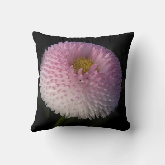 flowers on black - rosa Bellis Kussen (Achterkant)