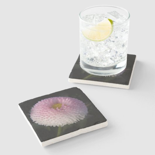 flowers on black - rosa Bellis Stenen Onderzetter (Zijkant)