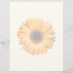 Flowers Orange Gerbera