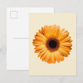 Flowers | Orange Gerbera Briefkaart (Voorkant / Achterkant)