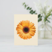 Flowers | Orange Gerbera Briefkaart (Staand voorkant)