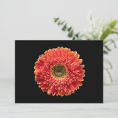 Flowers Orange Gerbera Daisy Bedankkaart (Staand voorkant)