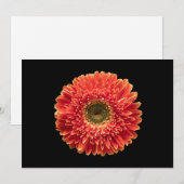 Flowers Orange Gerbera Daisy Bedankkaart (Voorkant / Achterkant)