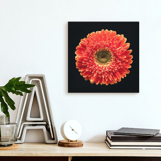 Flowers Orange Gerbera Daisy Canvas Afdruk