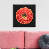 Flowers Orange Gerbera Daisy Canvas Afdruk (Insitu (Woonkamer))