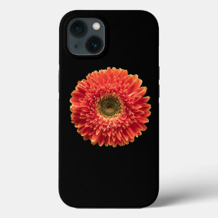 Flowers Orange Gerbera Daisy Case-Mate iPhone Case