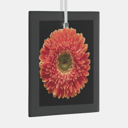 Flowers Orange Gerbera Daisy Glas Ornament (Voorkant Rechts)