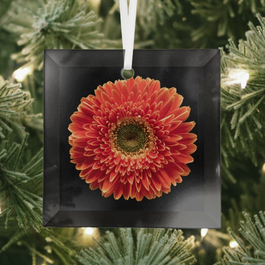 Flowers Orange Gerbera Daisy Glas Ornament (Insitu)