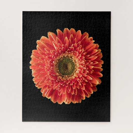 Flowers Orange Gerbera Daisy Legpuzzel (Verticaal)