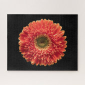 Flowers Orange Gerbera Daisy Legpuzzel (Horizontaal)