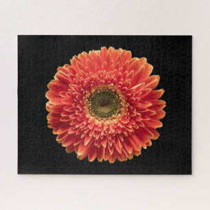 Flowers Orange Gerbera Daisy Legpuzzel