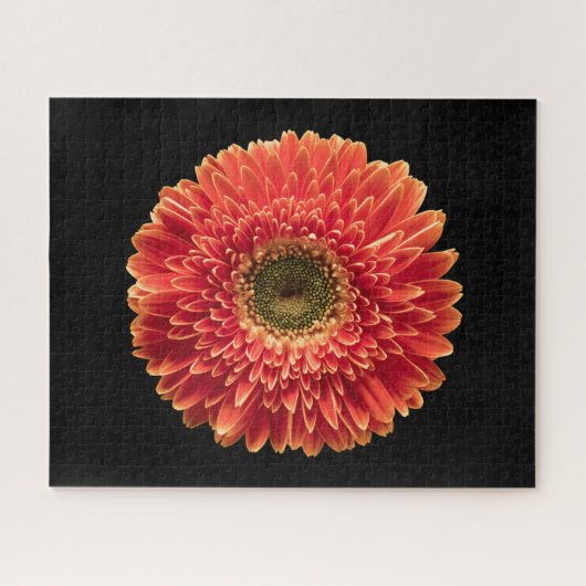 Flowers Orange Gerbera Daisy Legpuzzel (Horizontaal)