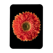 Flowers Orange Gerbera Daisy Magneet (Verticaal)