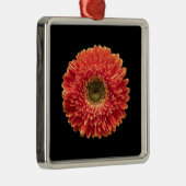Flowers Orange Gerbera Daisy Metalen Ornament (Rechts)