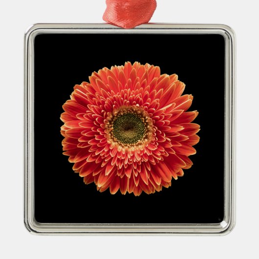 Flowers Orange Gerbera Daisy Metalen Ornament (Voorkant)