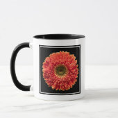 Flowers Orange Gerbera Daisy Mok (Links)