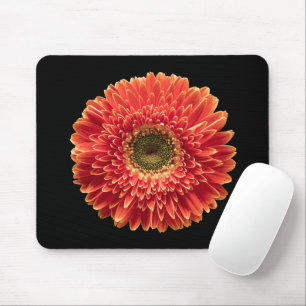 Flowers Orange Gerbera Daisy Muismat